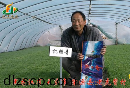 大慶-肇源縣(xian)-用戶迴訪視頻(pin)