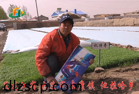 大慶-太康鎮-用戶(hu)迴(hui)訪(fang)視頻