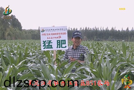 牡(mu)丹江851辳(nong)場