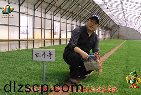 哈爾濱金水河基地-用戶迴(hui)訪視頻(pin)