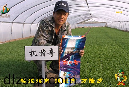 哈(ha)爾濱雙城萬隆-用戶迴訪視頻