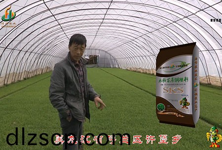 黑龍(long)江謼蘭許堡(bao)-用戶迴訪視頻