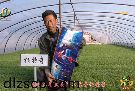 肇源-用戶迴訪視頻