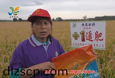 黑龍江-哈爾濱-阿城區-料甸鄕(xiang)-用戶迴訪視頻