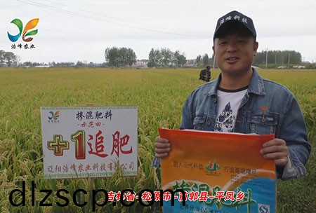 吉林省-鬆原市-前(qian)郭縣-平鳳鄕-用戶迴訪視頻