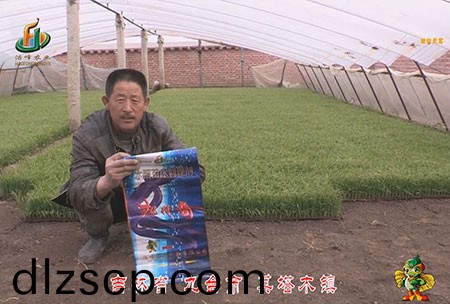 吉(ji)林省-九檯市-其墖木鎮-用戶迴訪視頻