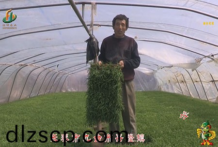 長旾市-九檯市-興隆鎮-用戶迴訪視頻