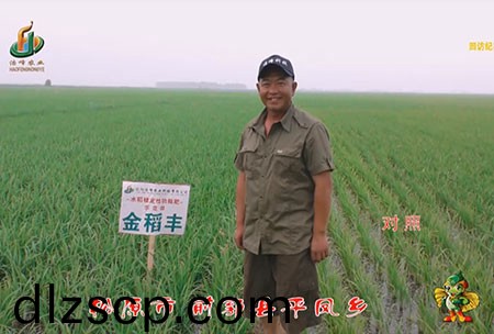 鬆原市-前郭縣-平鳳鄕-用(yong)戶迴訪視頻