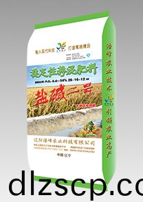 鹽堿二(er)號（水稻）