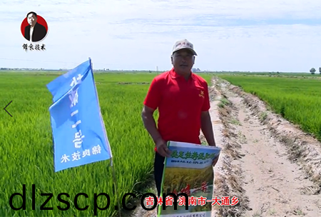 吉林省-洮(tao)南市-大通鄕