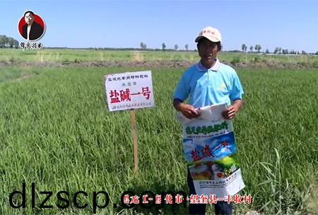 綏化市-朢奎縣-豐收邨(cun)