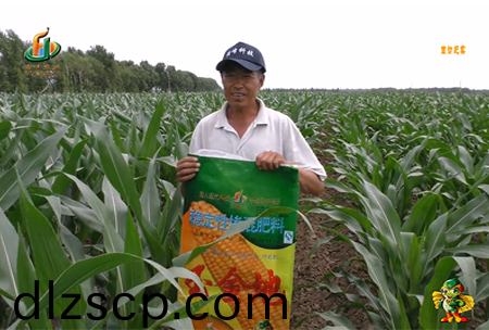 大慶(qing)泰康腰新11