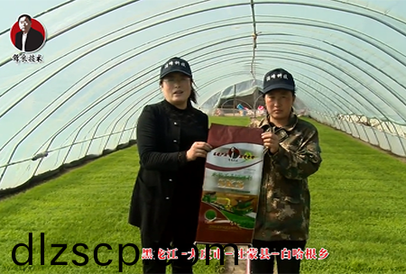 大慶市-杜矇縣-白哈(ha)根鄕(xiang)