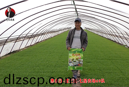 建三(san)江-七星辳(nong)場69隊