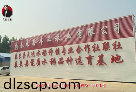 泰來縣-大榆樹鄕-豐(feng)禾米業(ye)