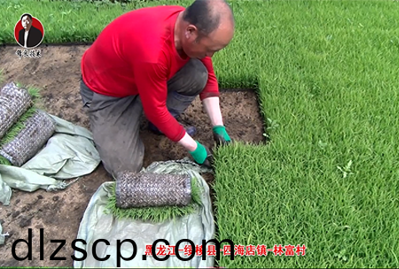 綏稜(leng)-四海店鎮