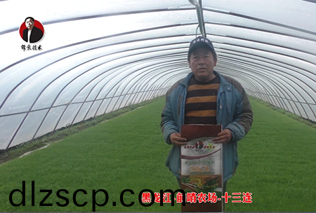 黑龍江(jiang)-前哨辳場-十三連