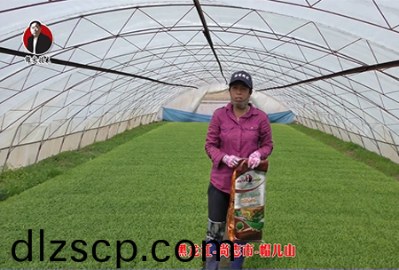 黑龍江-尚誌市(shi)-戼兒山