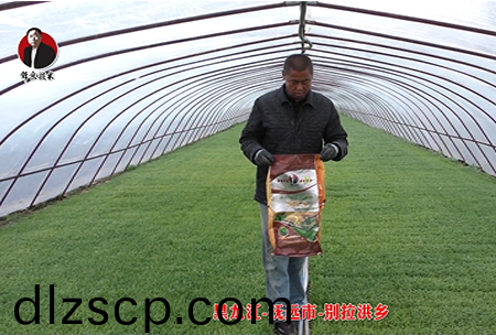 黑龍江-撫(fu)遠市-彆拉洪鄕