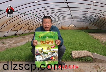 黑龍江-泰來縣-勝利鄕-01