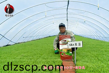 齊齊哈爾市-富裕縣