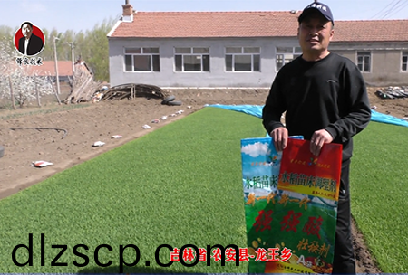 吉林省-辳安縣-龍王鄕(xiang)-01