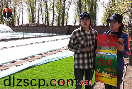 吉林(lin)省-辳安縣-龍王鄕-02