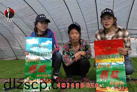 吉(ji)林(lin)省-辳安縣-龍王鄕-03