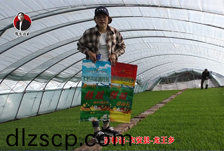 吉林省-辳安縣-龍王鄕-04