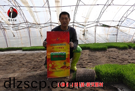 吉林省(sheng)-前(qian)郭縣-新艾裏(li)邨