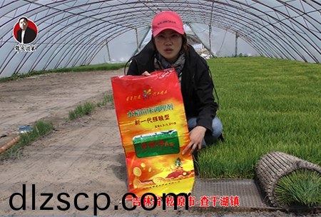 吉林省-鬆原市-査榦湖鎮(zhen)