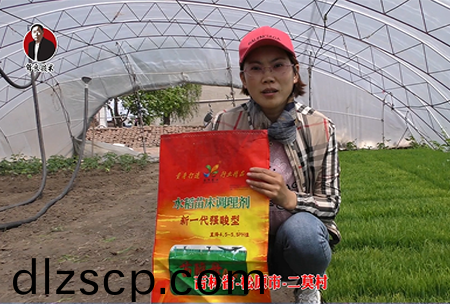 鬆(song)原市-二莫邨