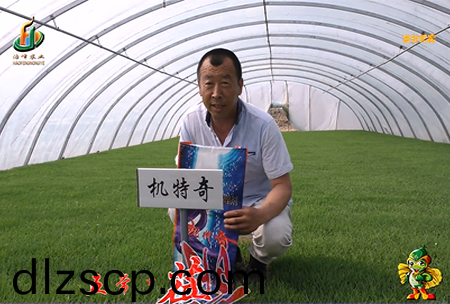 五常市 蓓(bei)廕河1