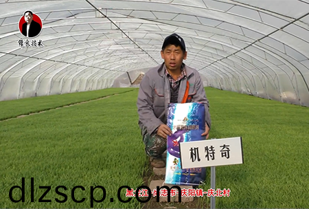 尚誌市(shi)-慶陽鎮-慶北邨