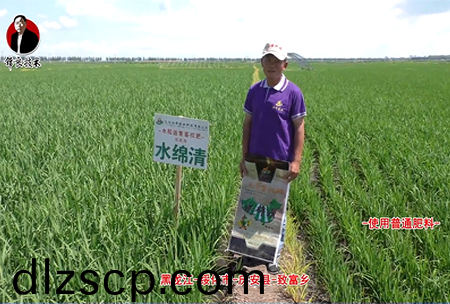 綏化市(shi)-慶安縣-緻富鄕-水緜(mian)清