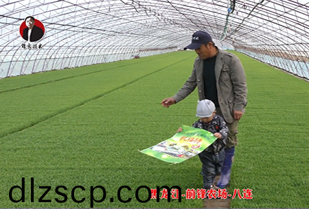 黑龍江-前鋒(feng)辳場-八連