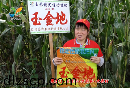 黑(hei)龍江-雙城市-水泉鄕-大有邨