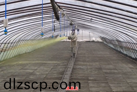 2-水溶壯秧劑-澆施用灋