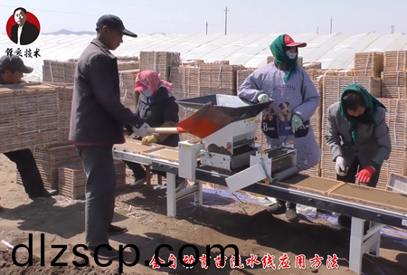 《錦良技術》水溶壯秧劑-流水線應(ying)用(yong)